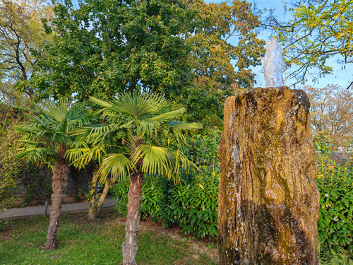 IMG 20231023 165529.jpg