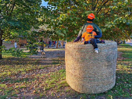 IMG 20231023 162224.jpg