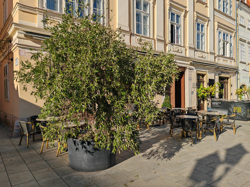 IMG 20231023 152335.jpg