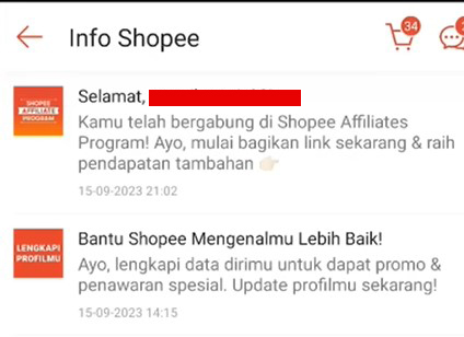 Screenshot 18 copy.jpg