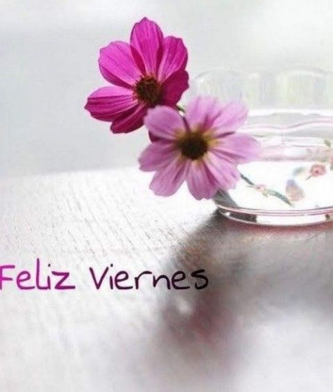 FELIZ VIERNES08 8 480x564.jpg