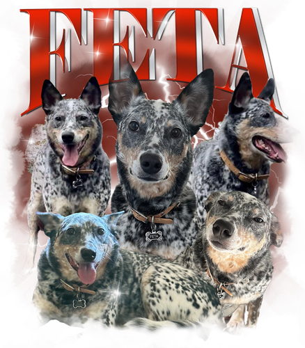 feta.png