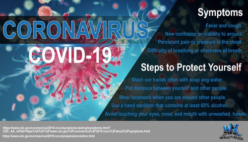 World Karate, offering the finest Martial Arts instruction in Fairfax, Annandale, Burke and West Spr.jpg