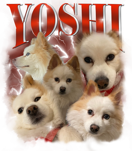 Yoshi.png