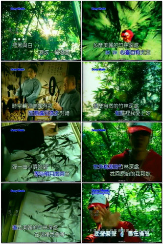 15.竹林深处 王力宏 DVD 单曲 DTS 5.1 24bit 三音轨.jpg