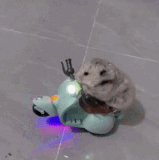 ezgif 5 1ea4548864.gif