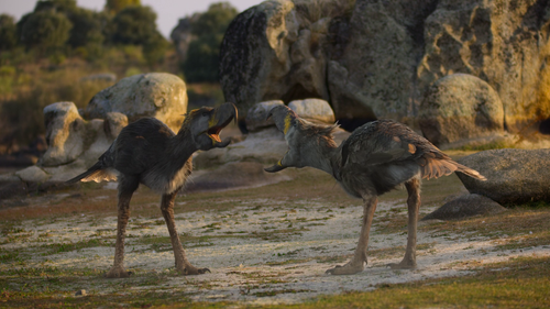 vlcsnap 2023 10 25 17h42m52s037.png