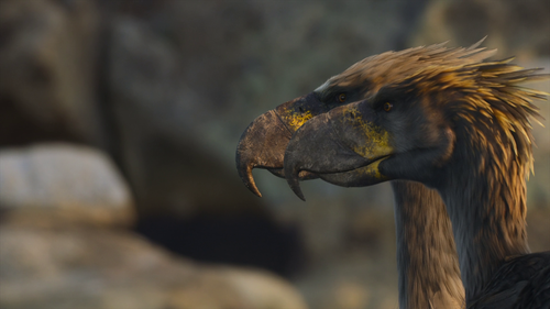 vlcsnap 2023 10 25 17h36m47s177.png