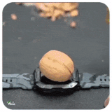 ezgif.com optimize (1).gif