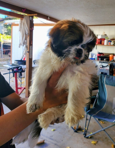 image2023 10 25 16 25 26 1bb0b5.jpg