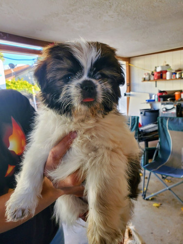 image2023 10 25 16 25 20 834073.jpg