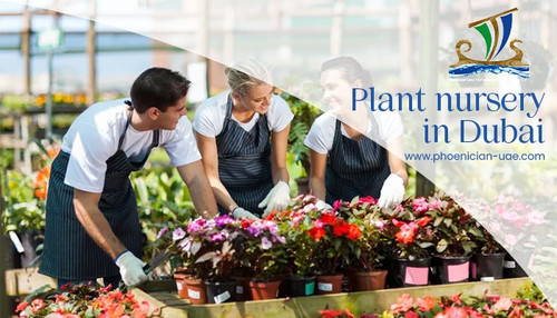 Plant nursery in Dubai.jpg