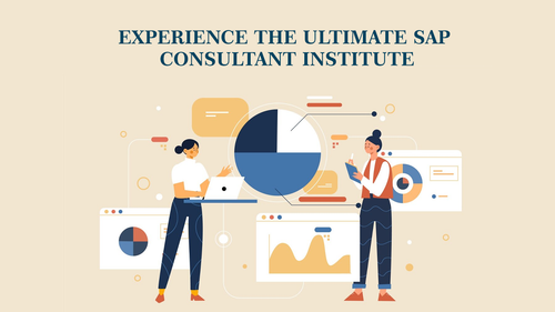 Experience the Ultimate SAP Consultant Institute.png