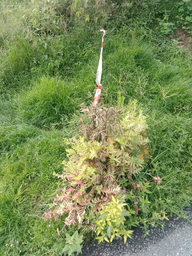 WhatsApp Image 2023 10 26 at 10.32.13 AM(1).jpg