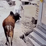 GIF 231026 125417.gif