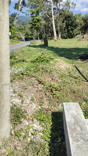 WhatsApp Image 2023 10 26 at 10.16.04 AM.jpg