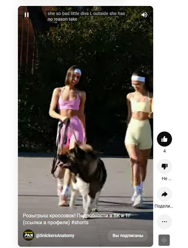 screenshot 2023 10 26 08 40 35 017.jpg