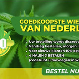 WhatsApp Image 2023 10 24 at 9.56.27 AM (1)