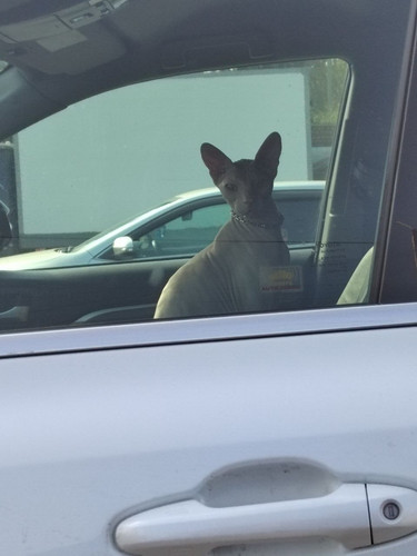 1698294747 1427923644.jpg