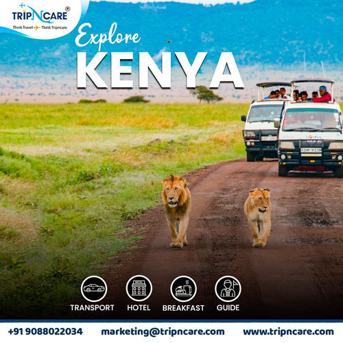 Discover the beauty of Kenya with Tripncare Holiday Package!.jpg