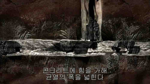 0CB88242 B4C7 4DDC B2CA E0259222F62A.jpg