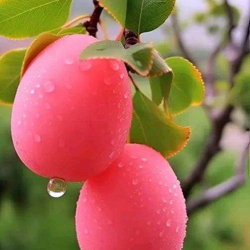 IMG 20231026 090943 787.jpg