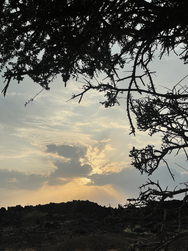 9EE773A0 4C77 4A65 8909 91152AA02A32.jpg