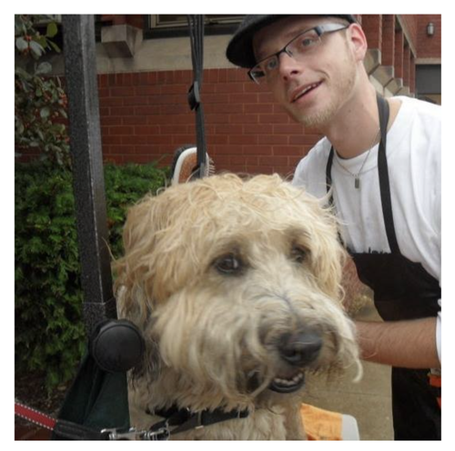 PawCare Integration with DSPA Grooming – A Seamless Solution for Enhanced Pet Grooming Services.png