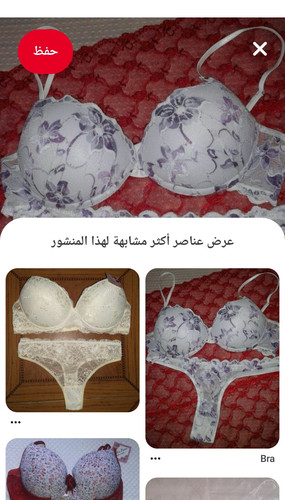 Screenshot ٢٠٢٣١٠٢٥ ١٨٢٢٤٥ Pinterest.jpg