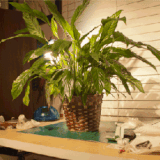 ezgif 1 bc438c61ca.gif
