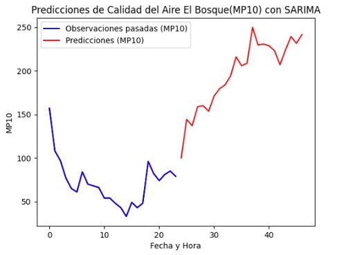 bosqueMP10.jpg