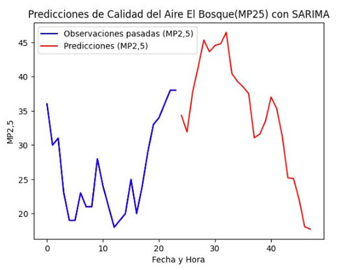bosqueMP25.jpg