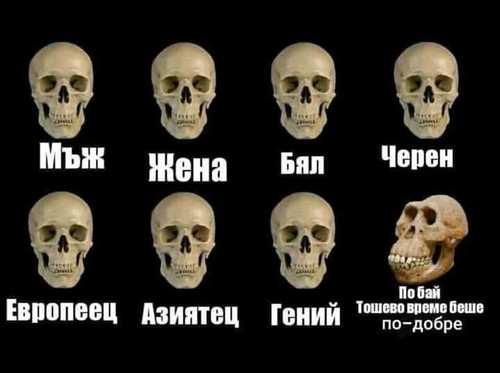 баи тошов