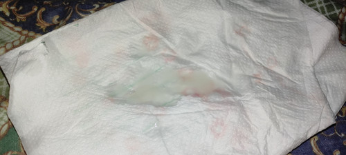 IMG 20231025 074807.jpg