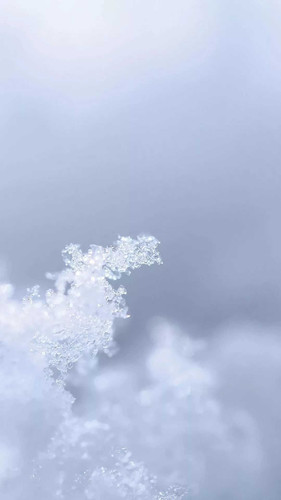white aesthetic wallpaper whatspaper 7.jpg