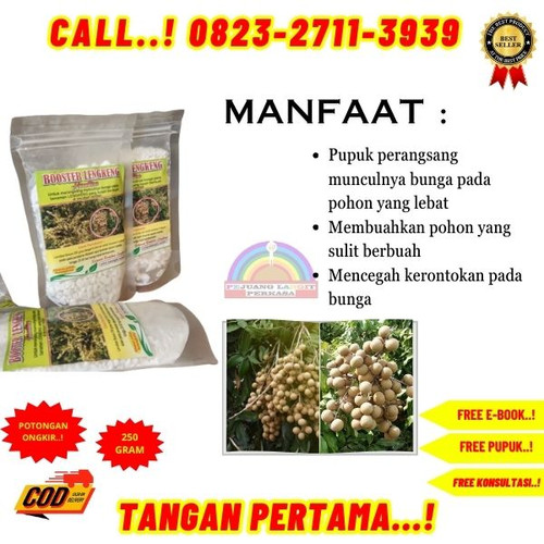 HARGA PABRIK! H.Tovix CALL 0823-2711-3939 Jual Booster Kelengkeng Nasa ke Kebumen-Ambal-Sidomulyo.jpg