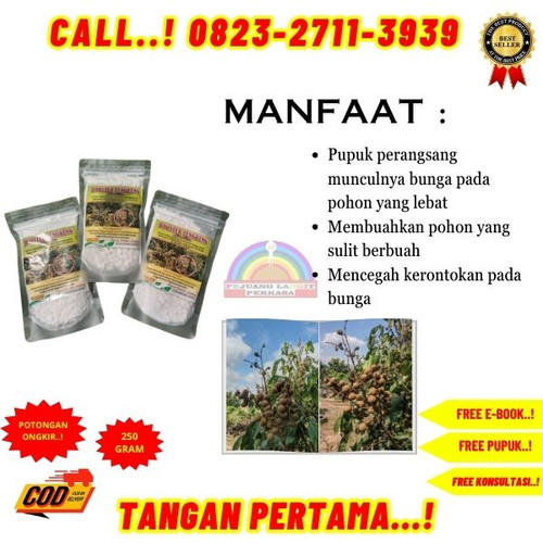 TANGAN PERTAMA! H.Tovix CALL 0823-2711-3939 Jual Booster Kelengkeng Yang Bagus ke Kebumen-Ambal-Sumb.jpg