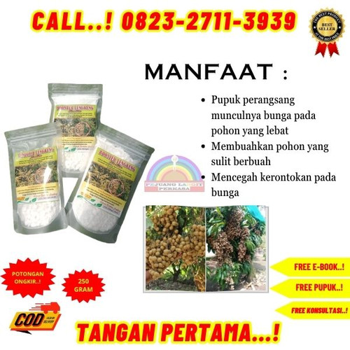 LANGSUNG BUAH ! H.Tovix CALL 0823-2711-3939 Jual Booster Kelengkeng Terbaik ke Kebumen-Ambal-Singosa.jpg