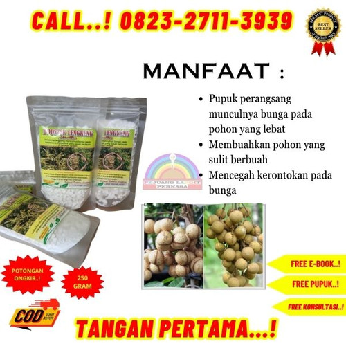 100% GARANSI! H.Tovix CALL 0823-2711-3939 Jual Booster Kelengkeng Nongfeng ke Kebumen-Ambal-Sidomukt.jpg