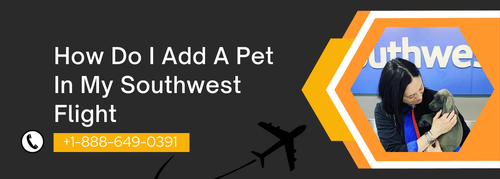 How Do I Add A Pet In My Southwest Flight.png