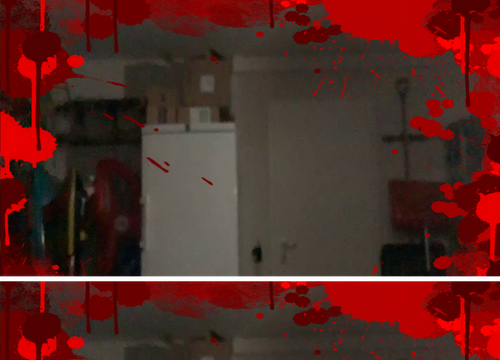 newest image.png