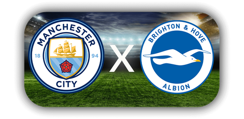 Brighton & Hove Albion.png