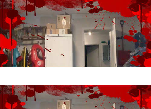 newest image.png