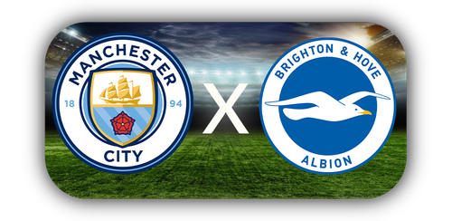 Brighton & Hove Albion.png