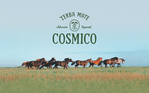 Web Cosmico Landscape w logo.jpg