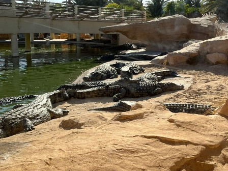 IMG 20231021 WA0007.jpg