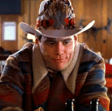 dumb and dumber bar 4.gif