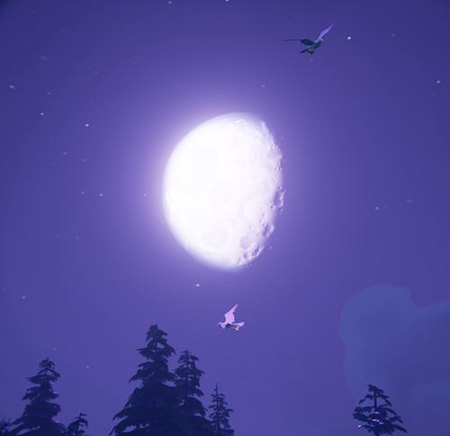 0078de87 1934 4925 bb39 15d91d1869e2.jpg