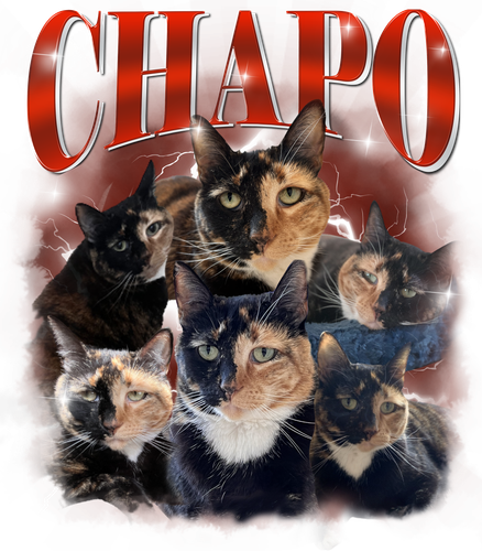 Chapo.png