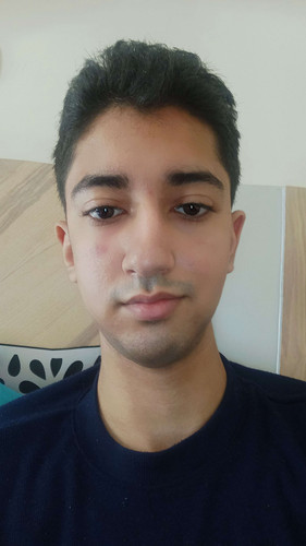 41381.jpg